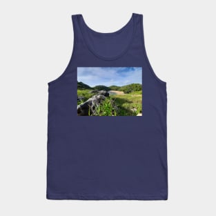 Hidden paradise lake lagoon sand beach Tank Top